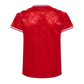 2024 Denmark Soccer Jersey Home - Fan Version - Goatkits Store