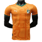 2024 Ivory Coast Soccer Jersey Home - Player Version