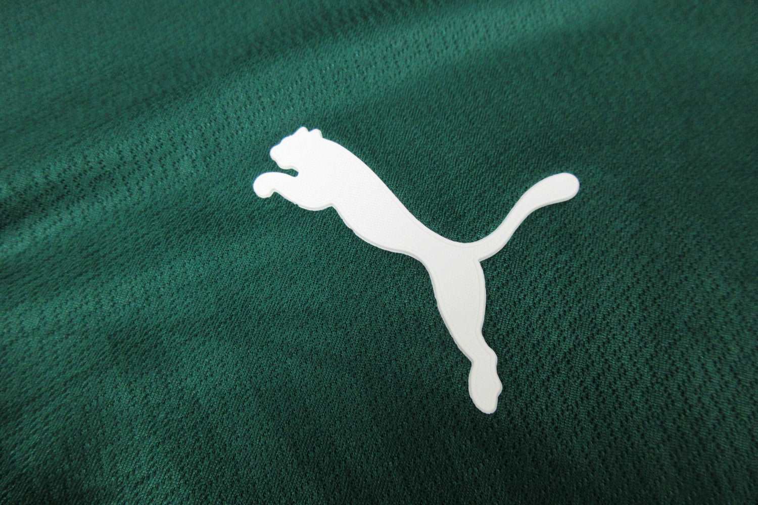 Palmeiras 22/23 Home Kit - Player Version - Logo