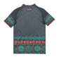 Jamaica Football jersey – 2026 World Cup Away Fan Version - Goatkits Store