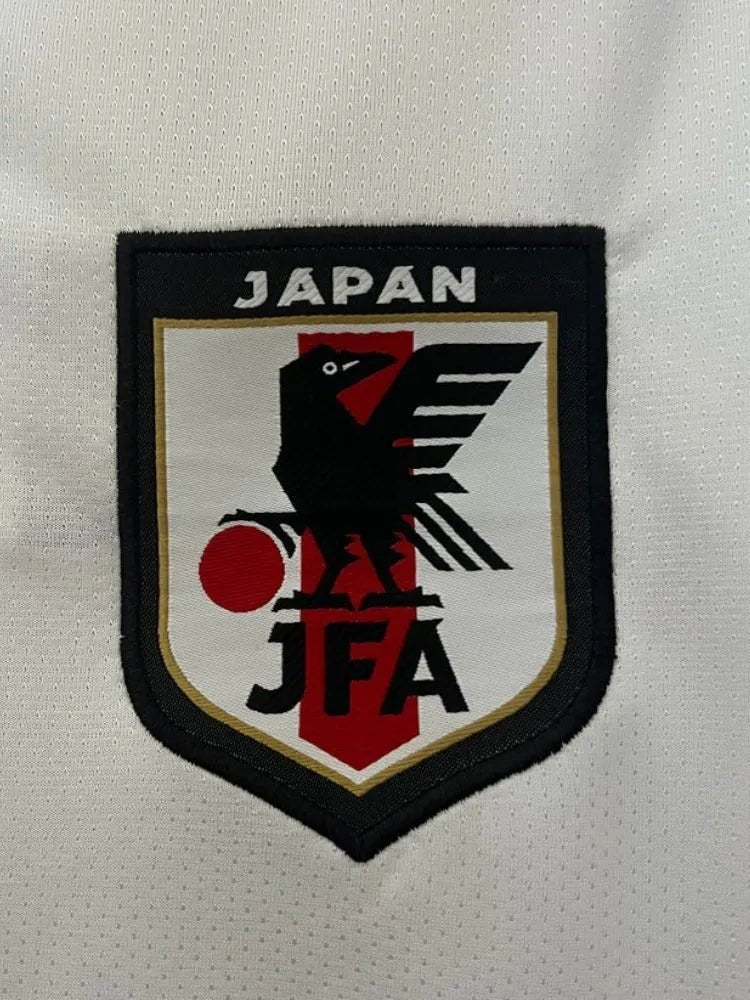 JAPAN x ONE PIECE RORONOA ZORO Jersey Limited Edition - Goatkits Store